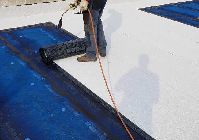 2024-11-12-elearning-index