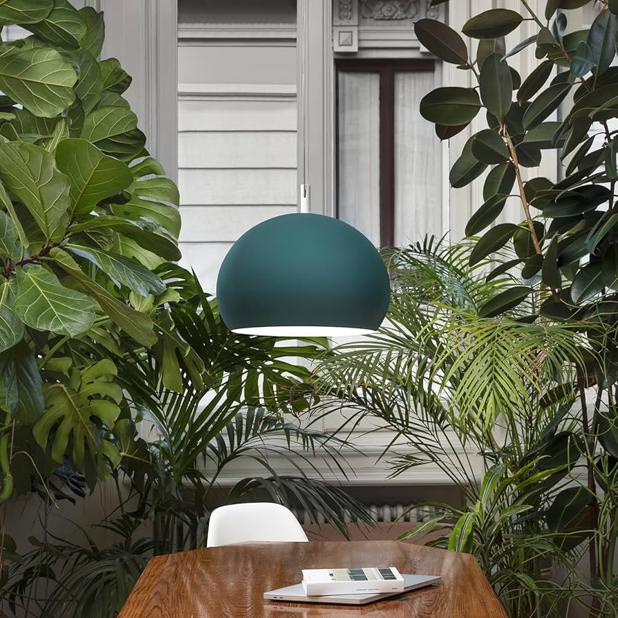 81Kn4mNtjnL._AC_UF894,1000_QL80_