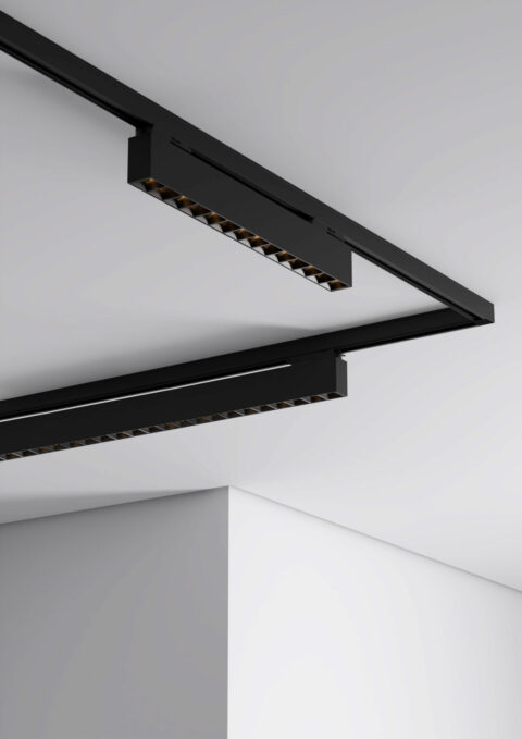 maya-track-1-480x679